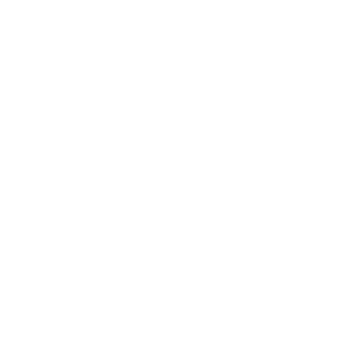 PNG Institute of Directors logo
